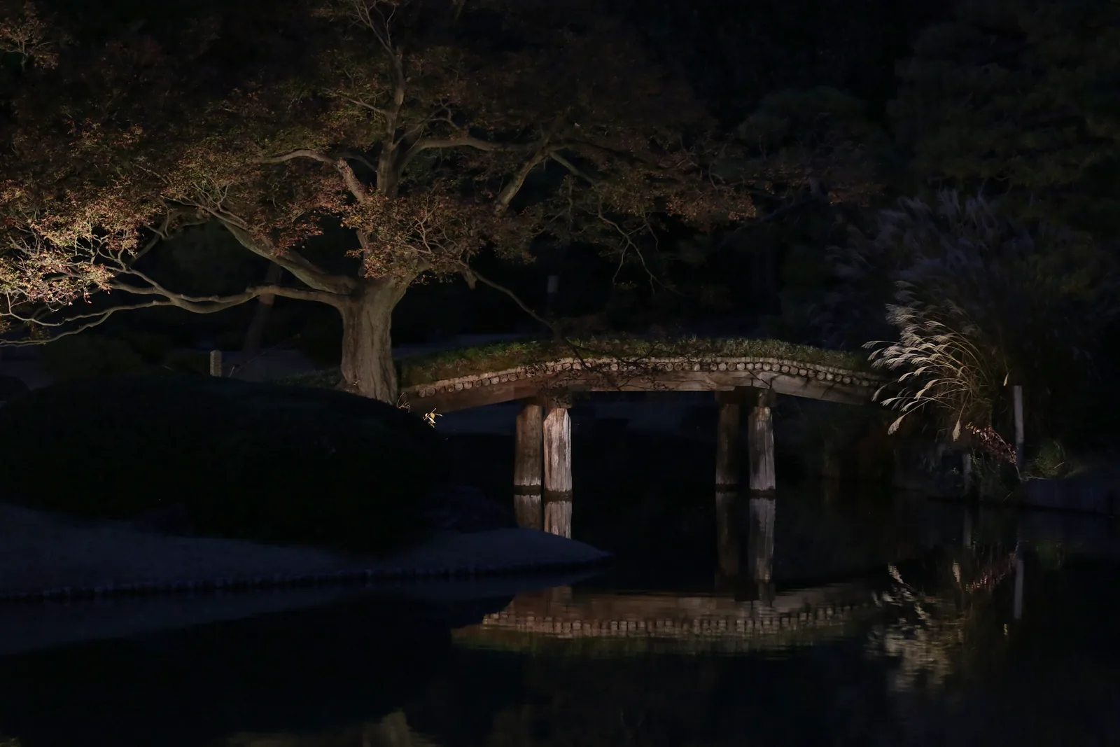A spotlit wooden bridge and tree reflected in a dark pond at night at Rikugien.