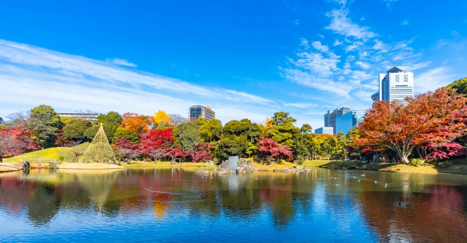 Red and orange maples around the large pond of Koishikawa Korakuen garden in Tokyo, reflected in the water, with office towers behind and a blue sky