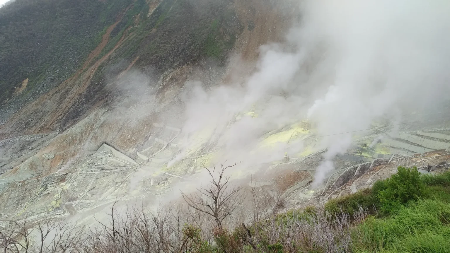 White volcanic steam rising from a bare, yellow-grey slope at Owakudani in Hakone, with green shrubs in the foreground and a forested ridge partly hidden in cloud.