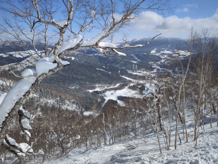 Snow lying on the branches of a white birch in the foreground, with a clear, snow-covered valley of forest and ski runs below, three resort towers in the middle distance and snow-streaked mountains under a blue sky, seen from the top of the UNKAI Gondola at Hoshino Resorts Tomamu at 11:52 on 15 February 2023