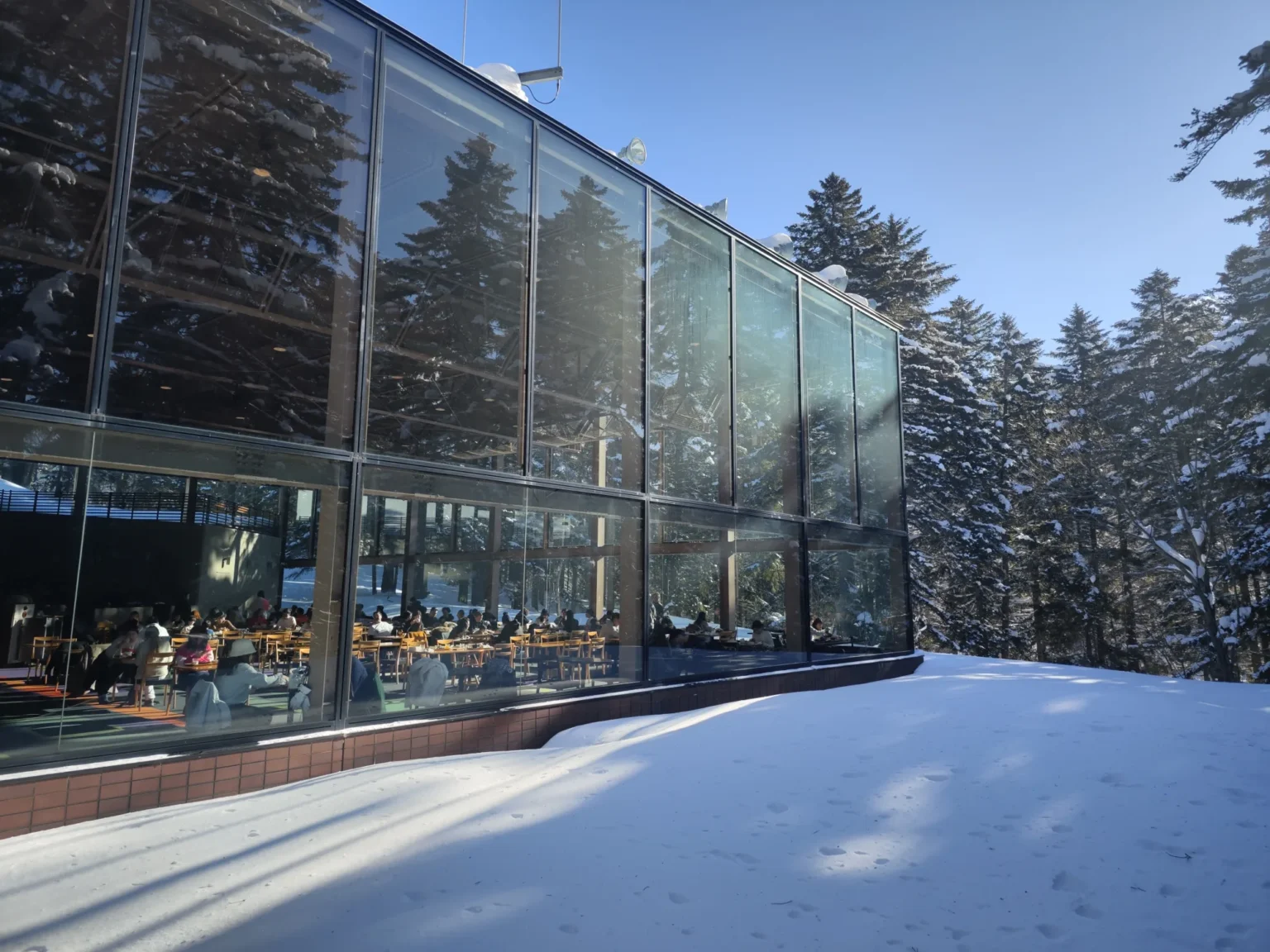 A tall glass-walled restaurant among snow-laden conifers, the glass reflecting the trees and blue sky, with people seated at tables inside and deep sunlit snow in the foreground, at the Forest Restaurant Nininupuri, Hoshino Resorts Tomamu, at 9:15 on 15 February 2023