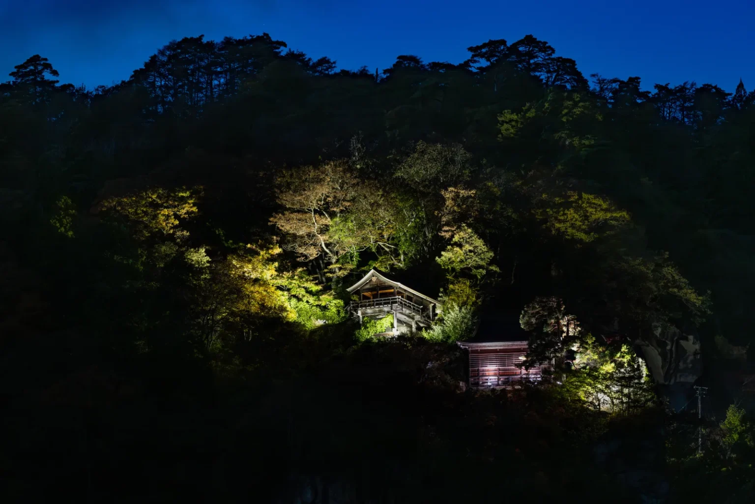 The Godaido and Kaisando halls lit up on the dark wooded cliff at Yamadera at night