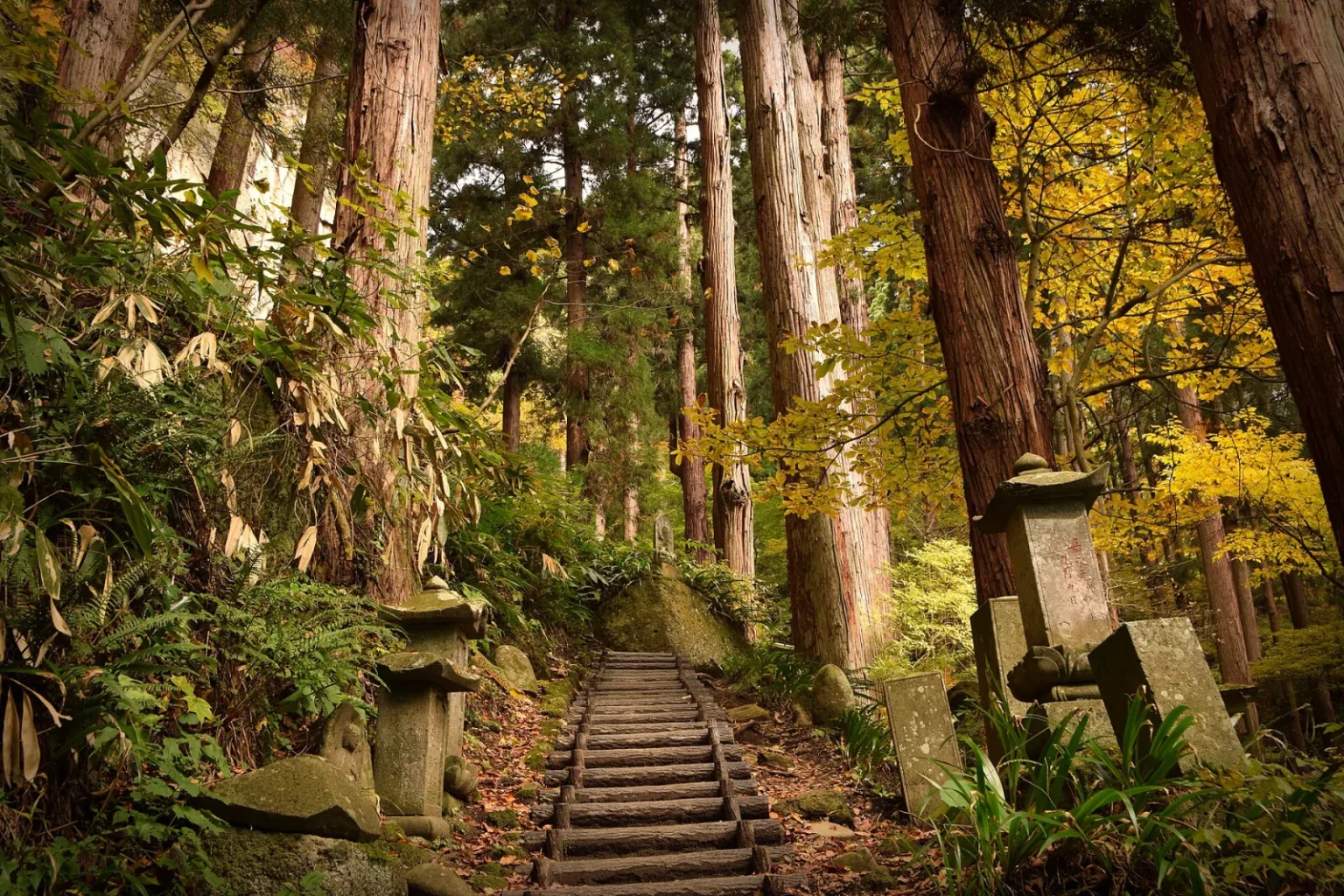 Narrow stone steps climbing through tall cedar trees and yellow autumn leaves, with moss-covered stone lanterns and grave markers beside the path, at Yamadera