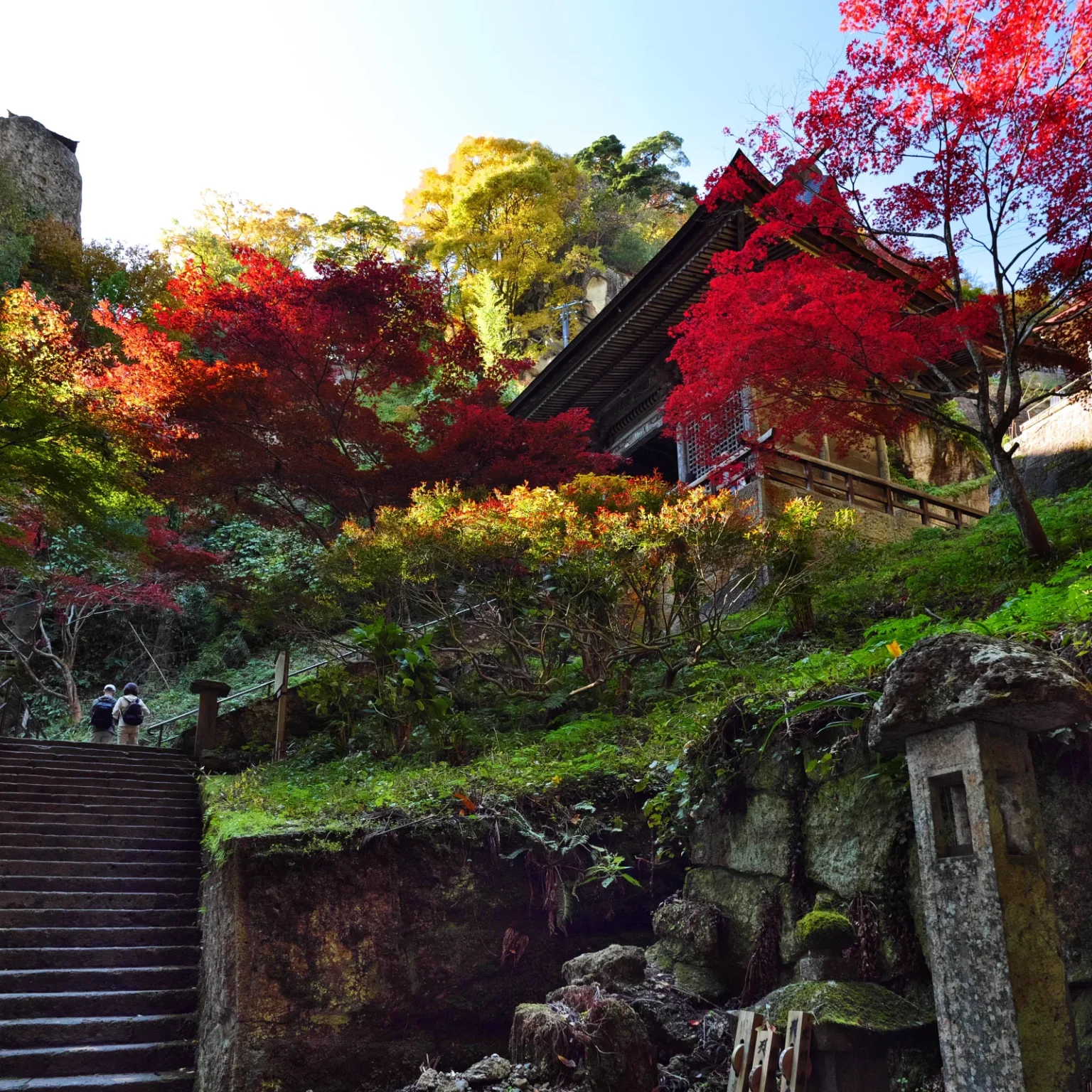 Mossy stone steps climbing through red and yellow maples toward the Niomon gate at Yamadera, with two walkers far up the steps seen from behind