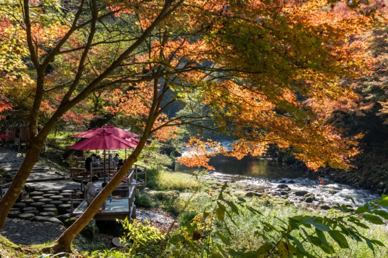 Red parasols over wooden riverside seats under orange autumn maples beside a rocky river
