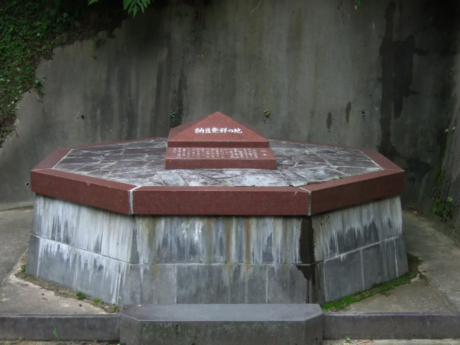 A low octagonal monument of red granite on a grey stone base, set against a concrete retaining wall with ferns above it. A small pyramid on top is carved with the characters 納豆発祥の地, birthplace of natto, and a flat stone in front carries a carved inscription.