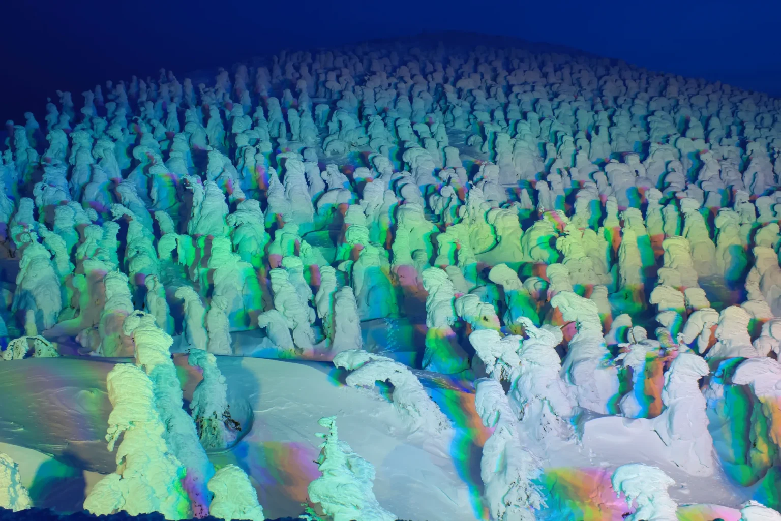 A hillside of rime-covered firs at night, lit in green, yellow, pink and blue so that bands of colour fall across the trees and the snow between them, under a dark blue sky